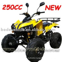 250cc off road vehicle